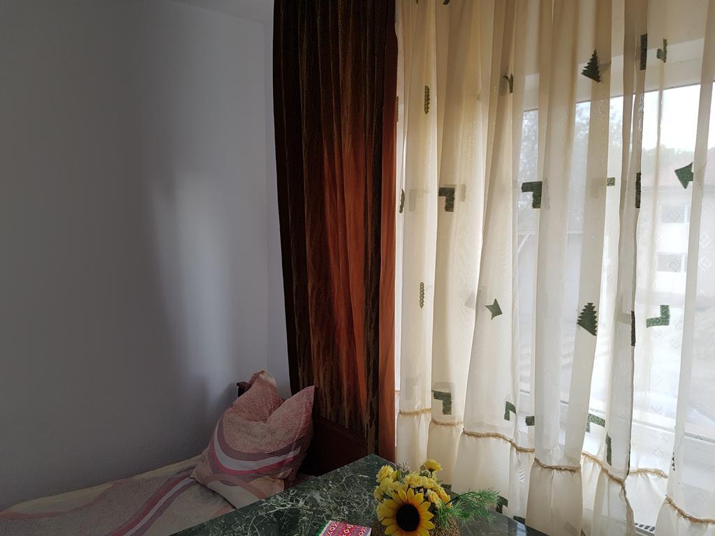 Cîmpineanca Casa Rustica Apart & Rooms מראה חיצוני תמונה