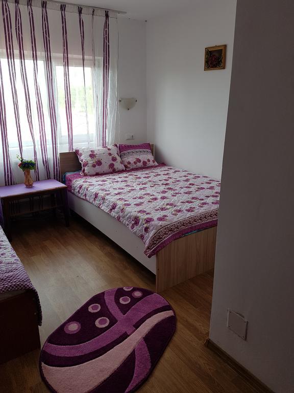 Cîmpineanca Casa Rustica Apart & Rooms מראה חיצוני תמונה