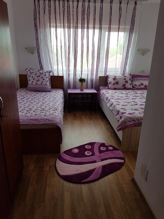 Cîmpineanca Casa Rustica Apart & Rooms מראה חיצוני תמונה