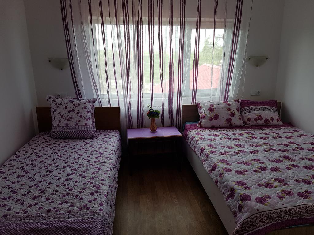 Cîmpineanca Casa Rustica Apart & Rooms מראה חיצוני תמונה