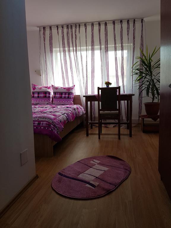 Cîmpineanca Casa Rustica Apart & Rooms מראה חיצוני תמונה