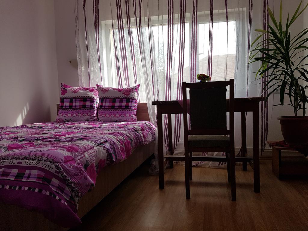 Cîmpineanca Casa Rustica Apart & Rooms מראה חיצוני תמונה