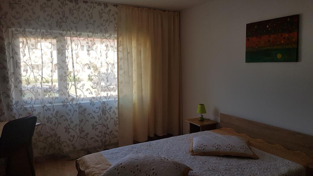 Cîmpineanca Casa Rustica Apart & Rooms מראה חיצוני תמונה